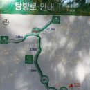 피아골단풍민박 이미지