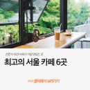 스페셜티 커피에 대한 오해와 진실 이미지