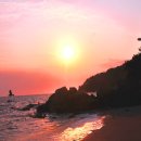 꽃향기바다소리 이미지