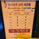 뽑기왕자 캡슐공주 | [씨라이프 코엑스 아쿠아리움] 아이와 상어투명보트 체험가능한 해양탐험선 그리고 인어공주