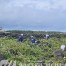 행원환해장성 이미지