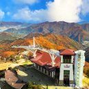 케이블카 타고 18분이면 해발 1,400m 정상에 이미지