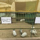 나비공원1(자연교육센터) 이미지