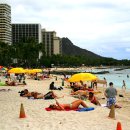 와이키키 이미지