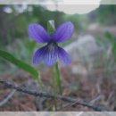 정서연 카카오 검색결과