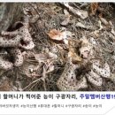 스토리가 있는 주말멤버 산행 19주차 이미지