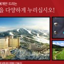 휘닉스파크관광단지 이미지