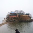 안면도 애견동반펜션 '해마루펜션'에 다녀왔어요~♪ : 안면도 여행