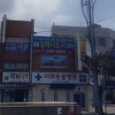 펫츠올 동물의료원 이미지