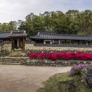 동춘당공원 이미지