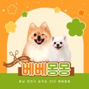 베베몽몽 이미지