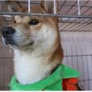 당감지구대 이미지