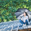 포레스트 이미지