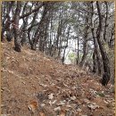 ▣ 포항:- 고주산~신광온천♨~덕실숲사랑길~흥해~포항:죽도시장 이미지