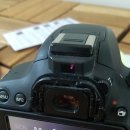 와이에스팜 이미지