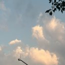 0828PC방 네이버블로그
