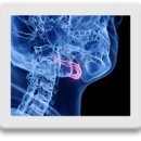 우리콩협동조합 이미지