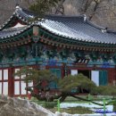 마곡사 - 831 | 마곡사
