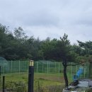 한티 별빛아래 관광농원 야영장 이미지