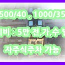 대림플러스공인중개사사무소 이미지