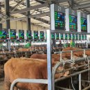 영주축산업협동조합 이미지