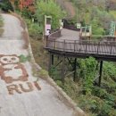 타이거벨리 이미지