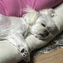 대하타이어백화점 | 가을아 오고 있는 거니?