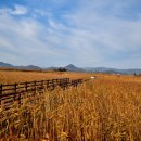 월성월드메르디앙 이미지