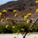 금당농장 이미지