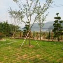 모나미펜션 이미지