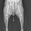 수노을동물병원 이미지