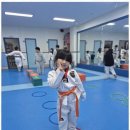 하랑태권도 이미지