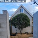 죽성로 이미지