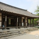 곤북로 | 아주 멋진 가을날의 축제, 북천코스모스 · 메밀축제 현장 속으로!