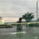 꽃길 신정호수본점 이미지