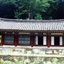 순천-62호 티스토리