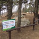 제183회 정기산행-19년 4월13일(토) 인천 강화 고려산(436m)진달래 축제 이미지