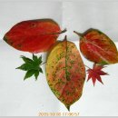 남양성지로 이미지