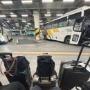 같이갈래? 이미지