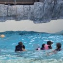 (주)신화자동차공업사 | [제주] 제주 신화월드 서머셋 숙박 + 신화워터파크 후기｜카카오톡 예약하기 프로모션으로 가성비 최고!