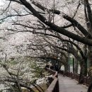 낙동강변8 이미지