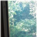 전통한옥민박 이미지