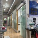 24시 모란동물 메디컬센터 이미지