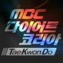 용인대코리아태권도 네이버블로그