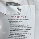 달꽃담은