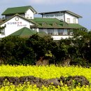 제주해피투데이 이미지