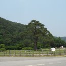 속리산 법주사 이미지