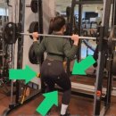 바이킹짐 이미지