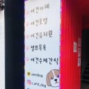 유앤독 | 익산애견카페 유앤독 깔끔하고 데이트장소로 너무 좋은 듯!