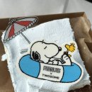 노은동로(유성-58) | 2024.06.09